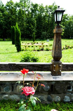 Peri Manastırı, Denizcilik ve Romanya 'nın avlusundan ayrıntılar.