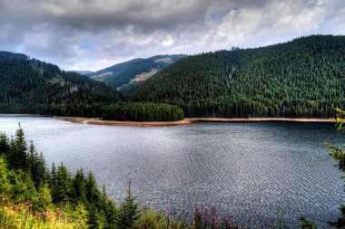 Vidra Gölü, Parang Dağları, Romanya manzarası.