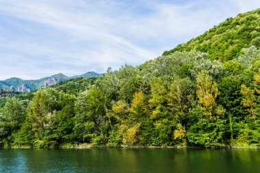 Romanya 'nın en uzun nehri olan Cozia Ulusal Parkı, Karpat Dağları' ndaki Olt Nehri 'nin manzarası.
