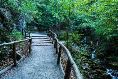 Banat Dağları 'ndaki doğal rezerv. Bigar şelalesi. Bigar, Transilvanya, Romanya 'nın kaynağı