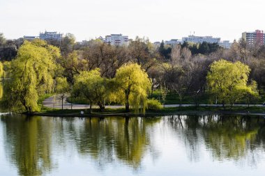 BUCHAREST, ROMANIA - 10 Nisan 2021 Tineretului Parkı, bahar.