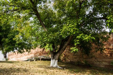 Büyük cevizlerle çevrili avlu eski bir tuğlayla çevrili.