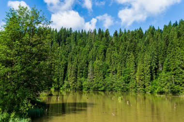 Kızıl Göl (ayrıca Ghilco Gölü veya Killer Gölü olarak da bilinir), deprem sonucu oluşan bir yamacın çökmesiyle oluşan doğal baraj gölüdür..