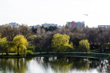 Tineretului Parkı, İlkbahar, Bükreş, Romanya.
