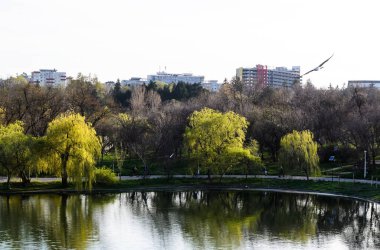 Tineretului Parkı, İlkbahar, Bükreş, Romanya.