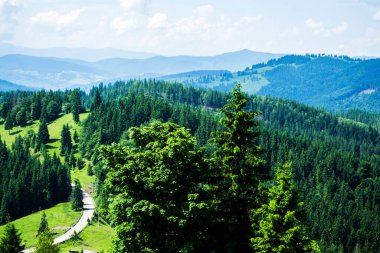 Ciumarna basamağı manzarası veya Palm, Palma geçidi, yol işçilerinin anıtı. Bucovina, Romanya.