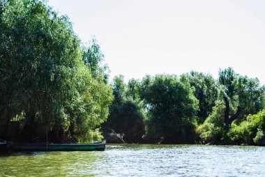 Tuna Deltası, Avrupa 'nın en büyük ikinci nehir deltası. Romanya.