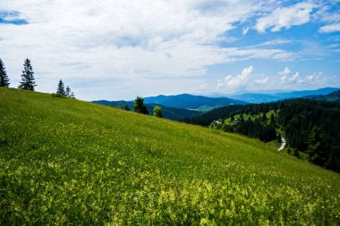 Ciumarna basamağı manzarası veya Palm, Palma geçidi, yol işçilerinin anıtı. Bucovina, Romanya.