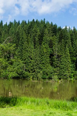 Kızıl Göl (ayrıca Ghilco Gölü veya Killer Gölü olarak da bilinir), bir deprem sonucu oluşan bir baraj gölüdür..