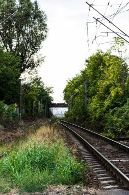 Romanya 'nın kırsal kesimindeki Drobeta Turnu Severin demiryolu raylarını izliyor.