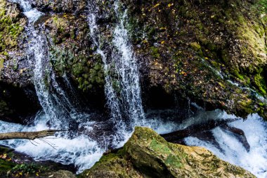 Romanya 'nın en güzel şelalelerinden biri olan Banat' tan Vaioaga Şelalesi Cheile Nerei-Beusnita Parkı 'nda yer almaktadır..
