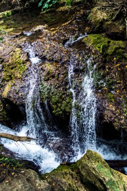 Romanya 'nın en güzel şelalelerinden biri olan Banat' tan Vaioaga Şelalesi Cheile Nerei-Beusnita Parkı 'nda yer almaktadır..