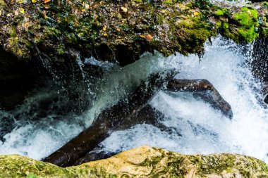 Romanya 'nın en güzel şelalelerinden biri olan Banat' tan Vaioaga Şelalesi Cheile Nerei-Beusnita Parkı 'nda yer almaktadır..