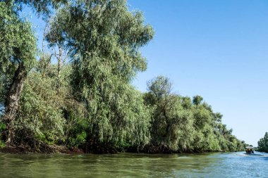 Tuna Deltası, Avrupa 'nın en büyük ikinci nehir deltası. Romanya.