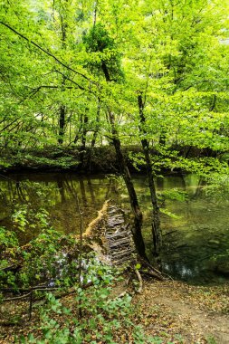 Beu Nehri. Cheile Nerei-Beusnita Ulusal Parkı, Romanya.