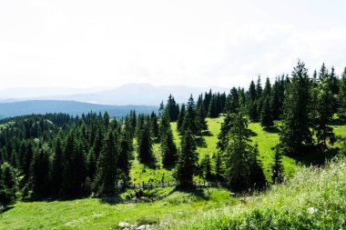 Transilvanya ve Moldova toprakları arasındaki Tihuta geçidinde güzel bir manzara. Romanya