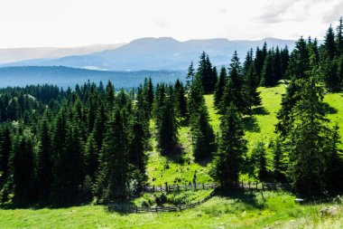  Transilvanya ve Moldova toprakları arasındaki Tihuta geçidinde güzel bir manzara. Romanya.