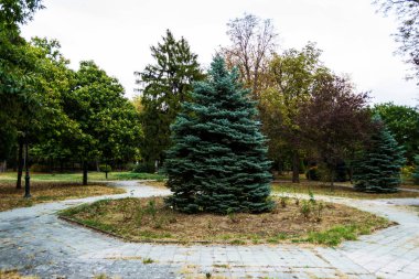 Dragalina parkının sonbahar manzarası, Drobeta Turnu Severin, Romanya.