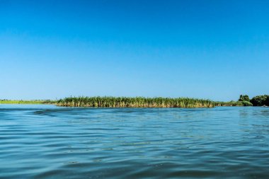 Tuna Deltası, Avrupa 'nın en büyük ikinci nehir deltası. Romanya.