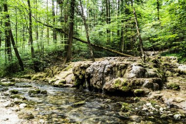 Beu Nehri ve Ochiul Beiului Gölü, Cheile Nerei Ulusal Parkı, Romanya 'dan önce bir şelale.