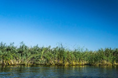 Tuna Deltası, Avrupa 'nın en büyük ikinci nehir deltası. Romanya.