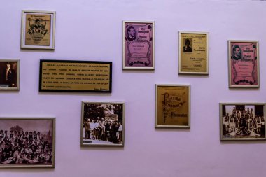 STUPCA, SUCEAVA, ROMANIA - 19 Haziran 2019: Siprian Porumbescu Anıt Evi.