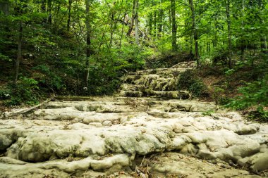Beusnita şelalesinin üzerindeki manzara. Beusnita şelalesini besleyen suyun aktığı patika..