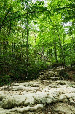 Beusnita şelalesinin üzerindeki manzara. Beusnita şelalesini besleyen suyun aktığı patika..