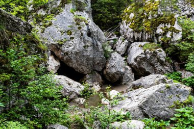 Zanoagei, Karpatlar 'ın dağlarını doldurur. Lalomita Nehri. Romanya, Avrupa.