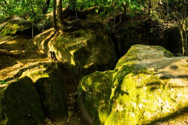 Eski tapınak mağarasının detayları. Sinca Veche, Brasov, Romanya.