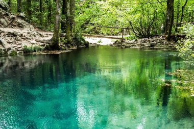 Ochiul Beiului, Ulusal Park Cheile Nerei 'deki zümrüt göl - Beusnita, Banat, Romanya.