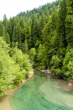Scropoasa Gölü, Bucegi Dağları 'nda Lalomita Nehri vadisinde bulunan yapay bir baraj gölü. Romanya.