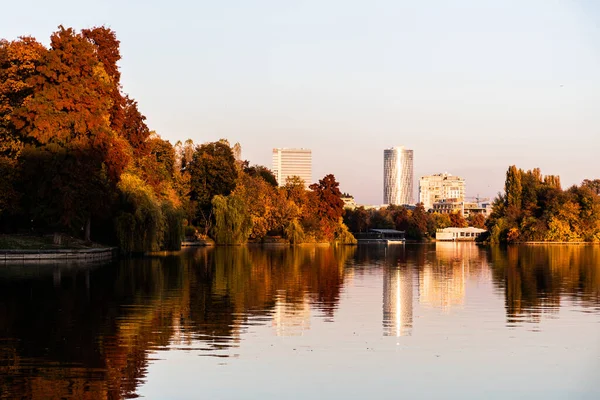 Landschap Met Herastrau Park Herfstkleuren Boekarest Roemenië — Stockfoto