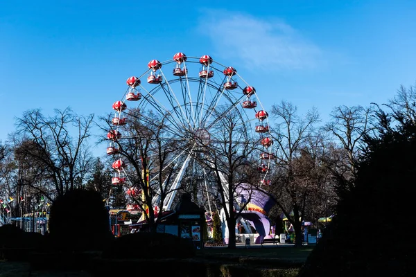 Bucharest Romania December 2021 Ferris Wheel Herastrau Colourful Children Playground — Stock Photo, Image