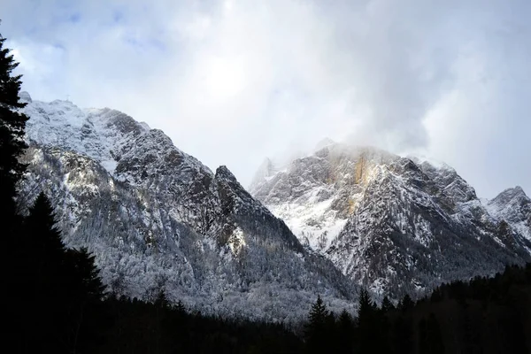 Awan Salju Menyelimuti Pegunungan Carpatian Musim Dingin Lembah Prahova Romania — Stok Foto