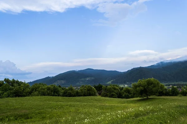 Widok Panoramiczny Gura Humorului Okręg Suczawa Bukowina Rumunia — Zdjęcie stockowe