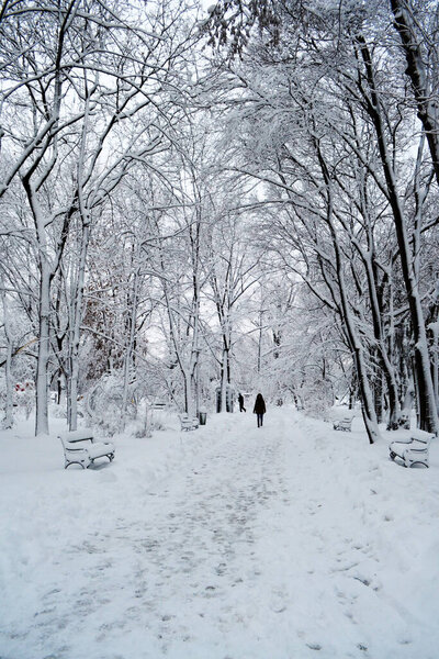 Walking in the park on a cold winter day after a snowstorm. Herastrau, Bucharest.