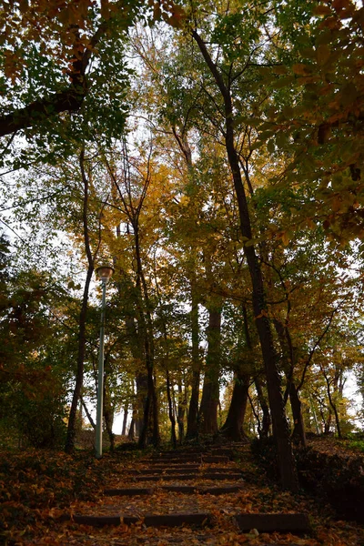 Bäume Herbstlichen Farben Carol Park Bukarest — Stockfoto