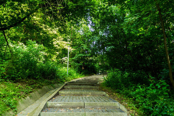 Stone stairway, stair, trail, footpath, road, alley in the forest, Suceava. Romania.