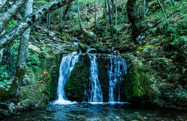 Rezerwat Przyrody Górach Banatowych Wodospad Bigar Źródło Bigar Transylwania Rumunia — Zdjęcie stockowe