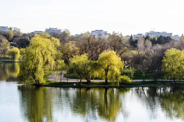 Bucharest Romania April 2021 Tineretului Park Spring — Stock Photo, Image