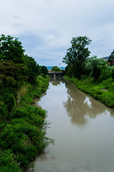 Rivière Bistrita Forêt Codrisor Dans Ville Bistrita Roumanie — Photo