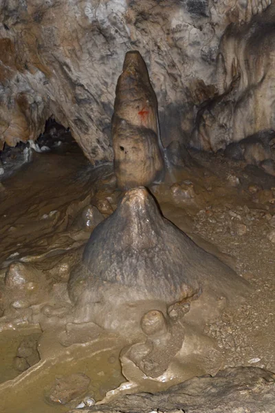 Stalagmite Build Time Water Polovragi Cave Romania — Stock Photo, Image