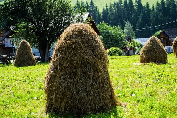 Rural Landscape Haystacks Moldovita Village Romania — Stock Photo, Image