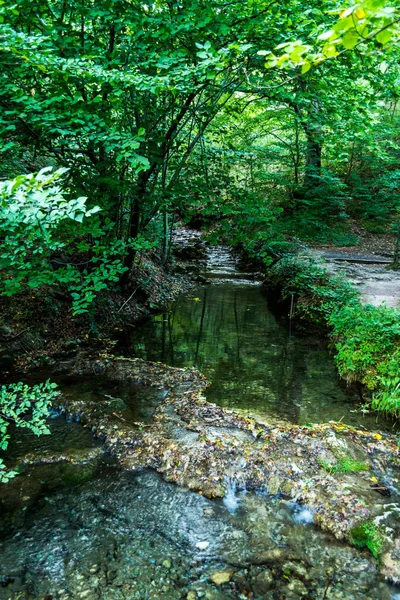 Reserva Natural Nas Montanhas Banat Cachoeira Grande Fonte Bigar Transilvânia — Fotografia de Stock