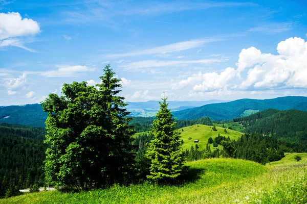 Paisagem Etapa Ciumarna Palma Passo Palma Monumento Trabalhadores Rodoviários Bucovina — Fotografia de Stock