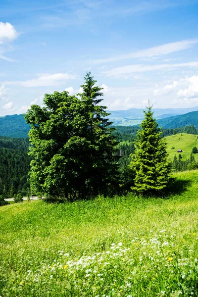 Paisagem Etapa Ciumarna Palma Passo Palma Monumento Trabalhadores Rodoviários Bucovina — Fotografia de Stock