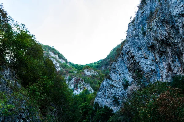 Parallèle Réserve Naturelle Des Monts Banat Une Grosse Cascade Roumanie — Photo