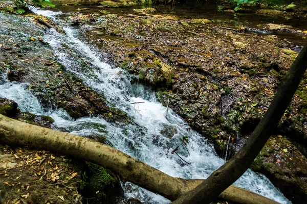 Vaioaga Vattenfall Från Banat Vackraste Rumänien Som Ligger Cheile Nerei — Stockfoto