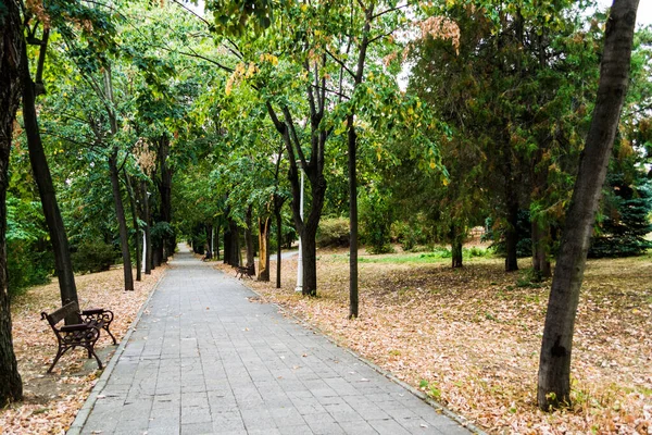 Herbstlandschaft Des Rozelor Parks Drobeta Turnu Severin Rumänien — Stockfoto